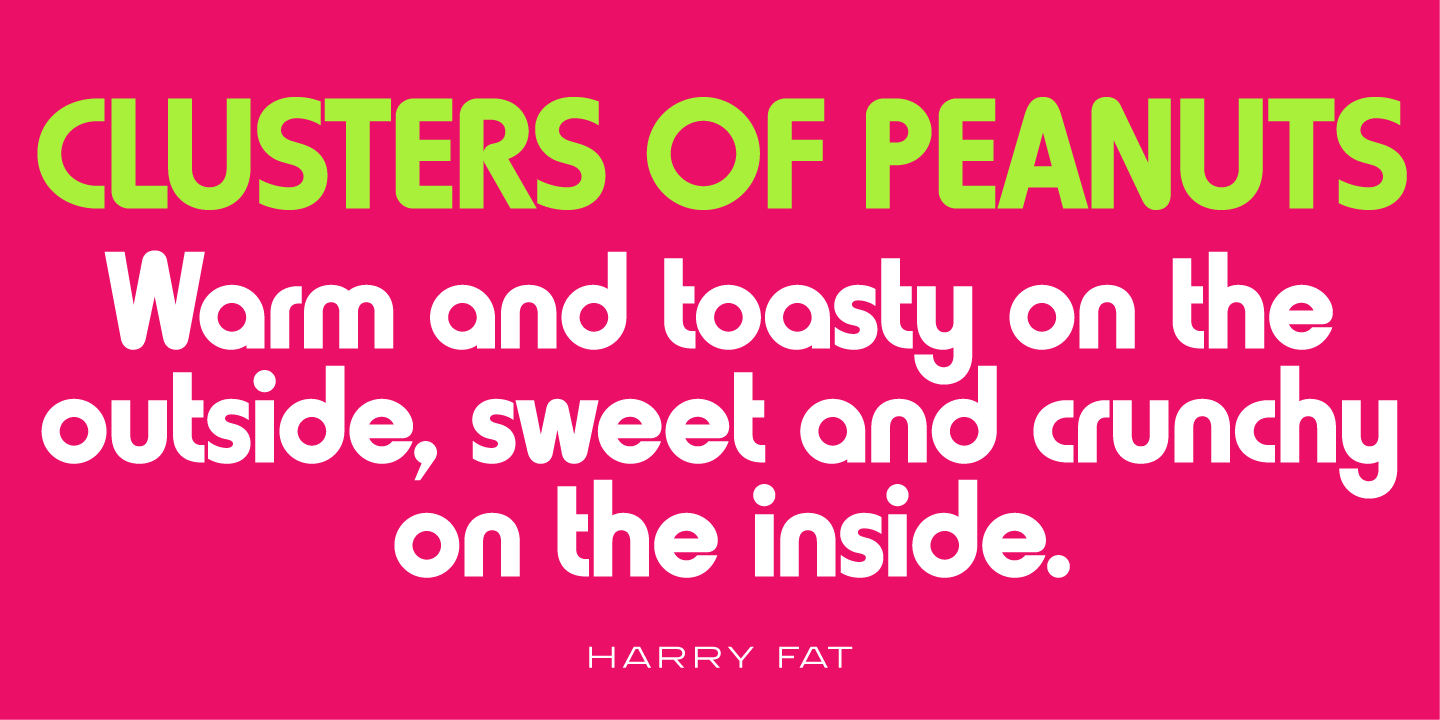 Harry Pro Obese Squeezed Font preview